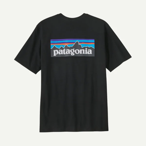 Patagonia Αντρικό Συνθετικό T-shirt Regular Black